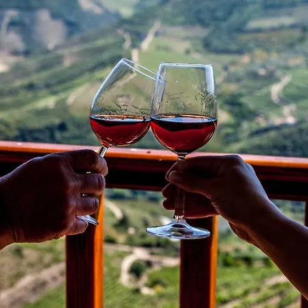 팜스테이 Terracos De Baco Ribalonga