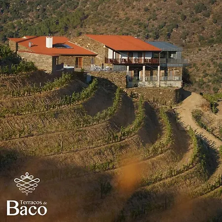 Terracos De Baco *