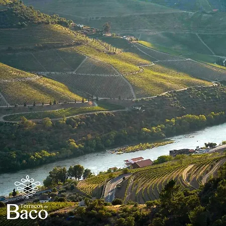 Terraços De Baco Alojamento de Turismo Rural