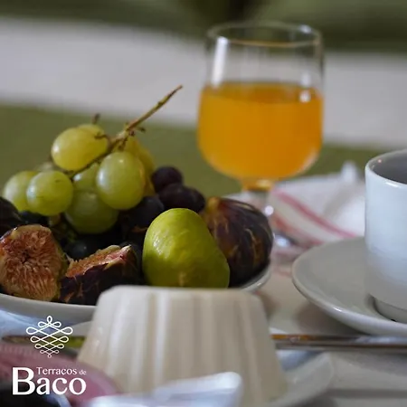 Terraços De Baco Alojamento de Turismo Rural