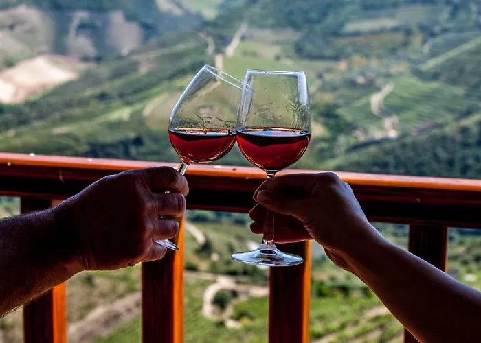 Κατάλυμα σε φάρμα Terracos De Baco Ribalonga